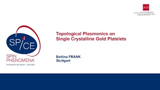 Talks  Spin textures Magnetism meets Plasmonics 2024  Bettina FRANK Stuttgart [upl. by Eittik]