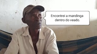 Causo de um velho caçador  Encontrei a mandinga dentro do veado [upl. by Nwahsek]