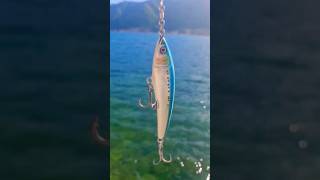 lure Ims sardine 60 gram floating 💥Ims lure holiday fishing fish lure randompublic reaction [upl. by Candra]