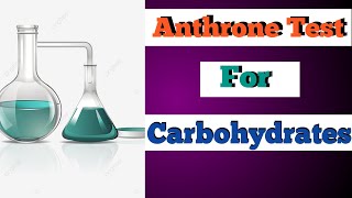 Anthrone Test For Carbohydrates ✔️ Plant Biochemistry 🪴 Stofficial077 [upl. by Delastre969]