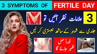 3 Symptoms Can Make You Pregnant in 24 Hours 3 Symptoms Of Fertile Day Egg Rupture Symptoms [upl. by Snebur]