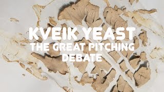 Kveik Yeast The Great Pitching Rate Debate [upl. by Win]