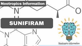 Sunifiram  Nootropics Information [upl. by Llekcor342]