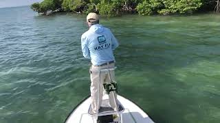 Tarpon on a 7 wt Fly Rod in the Florida Keys [upl. by Entirb]