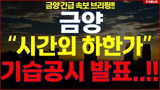 금양 quot시간외 하한가quot 기습공시 발표 금양 긴급 속보 브리핑 [upl. by Riess]