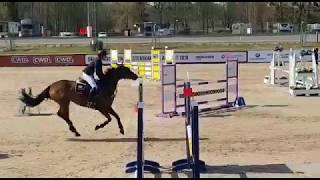 Kokkoro i Sundbyholm 105 4fel 20180422 [upl. by Larianna518]