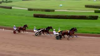 Avenches  10312024  GRAND PRIX DU TROTTEUR FRANCAIS [upl. by Valente]