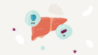 Hemophilia and Gene Therapy [upl. by Roye]