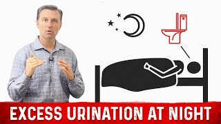 How to Fix Frequent Urination at Night Nocturia – Dr Berg [upl. by Eiuqram]