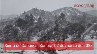 Sierra de Cananea Sonora este jueves 02 de marzo [upl. by Keller282]