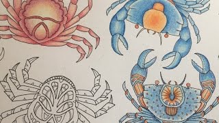 The Lost Ocean Big Crab Party  Blue Porceline Crabs [upl. by Hoshi344]