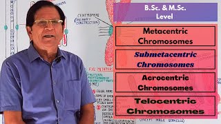 Metacentric Submetacentric Acrocentric amp Telocentric Chromosomes  BSc amp MSc Level [upl. by Lokkin496]