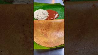 Dosa Dosa Dosa…😋😋🥰dosa foodies breakfast food trending shots ytshorts [upl. by Hirsh]