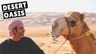 RIDING CAMELS IN THE OMAN DESERT [upl. by Trilly]