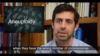 Relationship between incorrect chromosome number and cancer is reassessed [upl. by Monia]