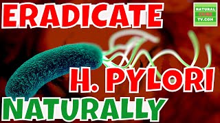 H PYLORI How to Completely Eradicate Them Off Your Gut [upl. by Nyra125]