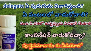 delegate uses in telugu  spinetoram 117 sc  delegate insecticide full information  Delegate use [upl. by Auhesoj234]