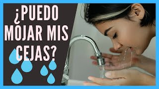 ⚠️ Cuándo se pueden MOJAR 💦 las cejas después del MICROBLADING [upl. by Ajoop]