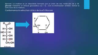 Enlaces Glucosídicos Formación de disacáridos Introducción y ejemplo Maltosa [upl. by Moazami]