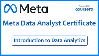 7What Does a Data Analyst Do [upl. by Ennyrb]