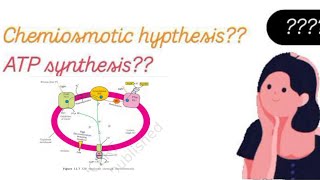 Chemiosmotic hypothesis ncert  Detailed explanation  Ncert lined by lined explained [upl. by Raama]