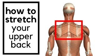 How to stretch your upper middle back  rhomboid muscle [upl. by Attiuqehs]