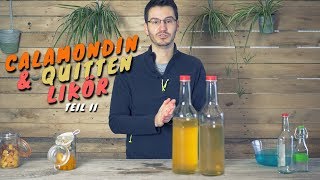 Quitten amp Calamondin Likör herstellen  Teil II  Rezept  Abfüllen [upl. by Deevan]