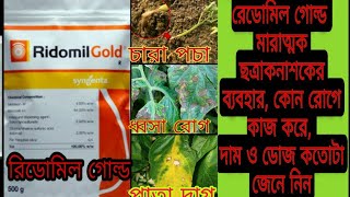 Ridomil Gold ছত্রাকনাশক ব্যবহার কিভাবে কাজ করেuse of Ridomilgold syngenta fungicidechotraknasak [upl. by Tiana]