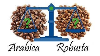 Coffee Basics The Difference Between Arabica and Robusta Coffee Beans [upl. by Yatnod109]