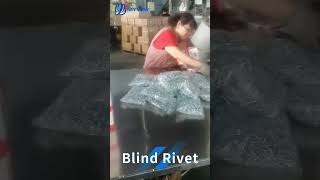 Blind Rivet Packaging Processrivets blindrivets shorts manufacturer factory custom supplier [upl. by Trebuh687]