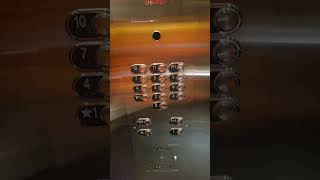 Apartment Elevator Ride POV from 115 Antibes Drive [upl. by Artimas]