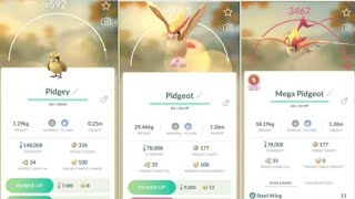 Evolving Pidgey to Pidgeot and Mega Evolving into Mega Pidgeot in Pokémon GO 🕊️ [upl. by Nightingale558]