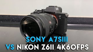 Sony A7SIII vs Nikon Z6II  Preliminary Low Light amp 4K60fps Comparison [upl. by Debbie]