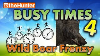 Busy Times 4  Wild Boar Frenzy  theHunter Classic [upl. by Elleiand]