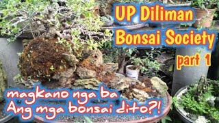 PART1UP DILIMAN BONSAI SOCIETYCP GARCIASOBRANG DAMING BONSAI DITOMAGAGANDA NA AT MURA PA [upl. by Cavit87]