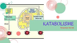 Katabolisme materi Biologi SMA Kelas XII part2 metabolisme katabolisme respirasiaerob [upl. by Inalem]