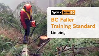 BC Faller Training Standard  Limbing 15 of 17 [upl. by Ever]