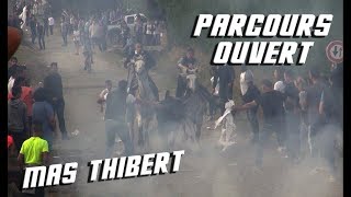 MAS THIBERT Bandido Parcours Ouvert 01102017 🐂 [upl. by Horgan146]