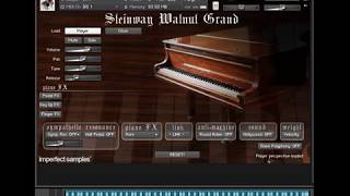 6  Exactly Like You  Steinway Pro Kontakt [upl. by Fritze]