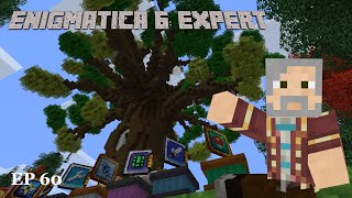 E6E60  Enigmatica 6 Expert World Tour [upl. by Yud313]