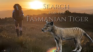 Does the Tasmanian Tiger Thylacine still exist at the Spero River Tasmania [upl. by Inger991]