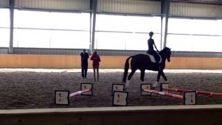 Ingrid Klimke clinic  advanced cavaletti [upl. by Neelon]