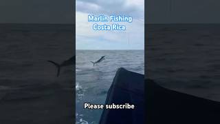 The Ultimate Marlin Fishing Adventure in Costa Rica guanacaste fishcostarica costaricafishing [upl. by Nauj705]