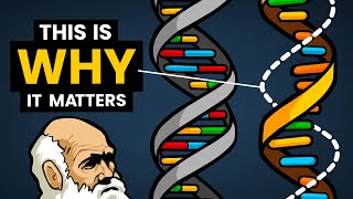 DNA vs RNA  Differences in Form and Function  Stated Clearly [upl. by Hulen481]