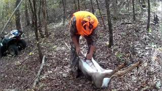 How to field dress a Deer Quickly and easily Under 6min [upl. by Grochow761]