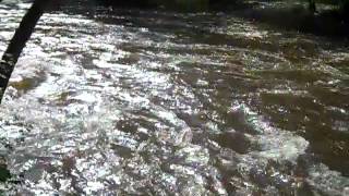 Symonds Yat Rapids June 25th 2012 River Level Step 2 [upl. by Gwen]