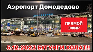 Прямой Эфир Аэропорт Домодедово 05122023 БУГУНГИ ХОЛАТ ДОКУМЕНТИ ЁКЛАР УЧУН ТЕГИШЛИ ВИДЕО [upl. by Howlyn]