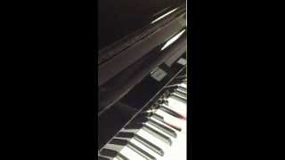 Piano PLEYEL SCHIMMEL [upl. by Acinna]