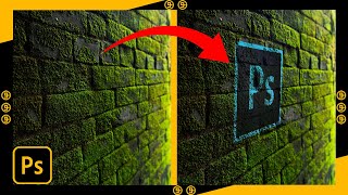 How to Blend anything on wall in photoshop  grapexels [upl. by Treborsemaj]