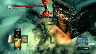 Dark Souls Walkthrough  Painted World of Ariamis Crossing the Bridge Dark Spirit King Jeremiah Part 059 [upl. by Guilbert]